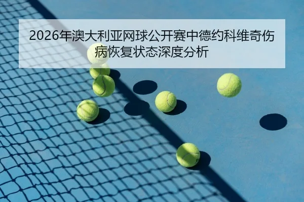 nian-ao-da-li-ya-wang-qiu-gong-kai-sai-zhong-de-yue-ke-wei-qi-shang-bing-hui-fu-zhuang-tai-shen-du-fen-xi-2-102.jpg