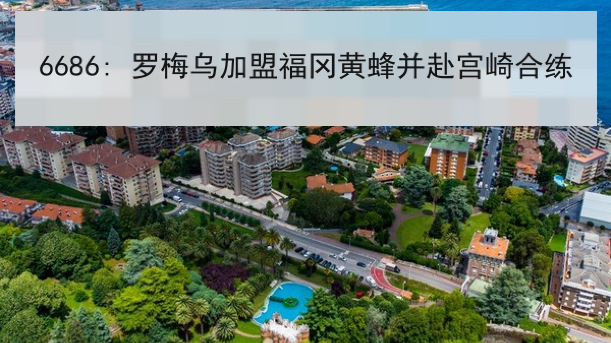 6686: 罗梅乌加盟福冈黄蜂并赴宫崎合练