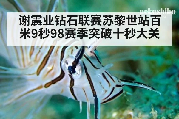 谢震业钻石联赛苏黎世站百米9秒98赛季突破十秒大关